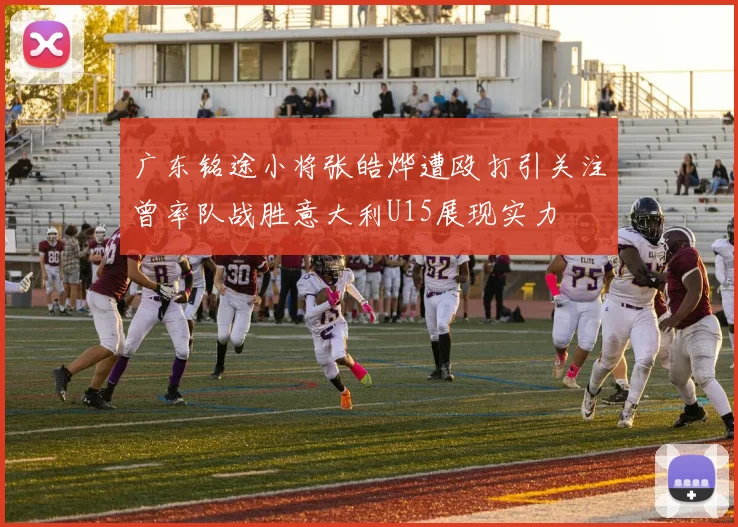 广东铭途小将张皓烨遭殴打引关注曾率队战胜意大利U15展现实力